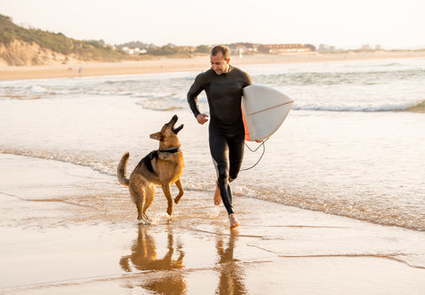 Dog and man on beach with surfboard