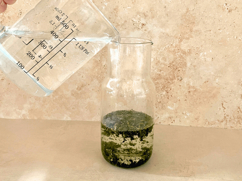 Hand pouring lukewarm water into cold brew oolong tea leaves in glass vessel