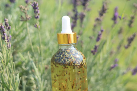 organic lavender body oil in lavender field.  promote moisturized skin and healthy skin