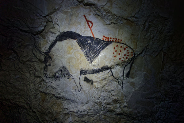 Pre Historic Cave Drawing Mattresses