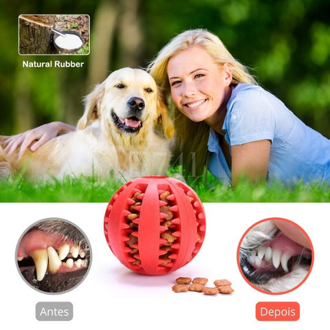 Bolinha Pet para Cachorro Brinquedo Interativo para Limpeza de Dentes