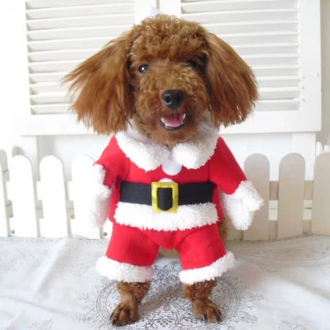 Roupa Papai Noel para Cachorro e Gato Fantasia de Natal Pet