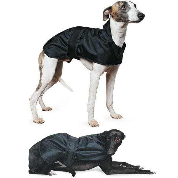 Ancol hot sale whippet coat