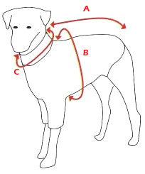 Hotter jumper measure pic