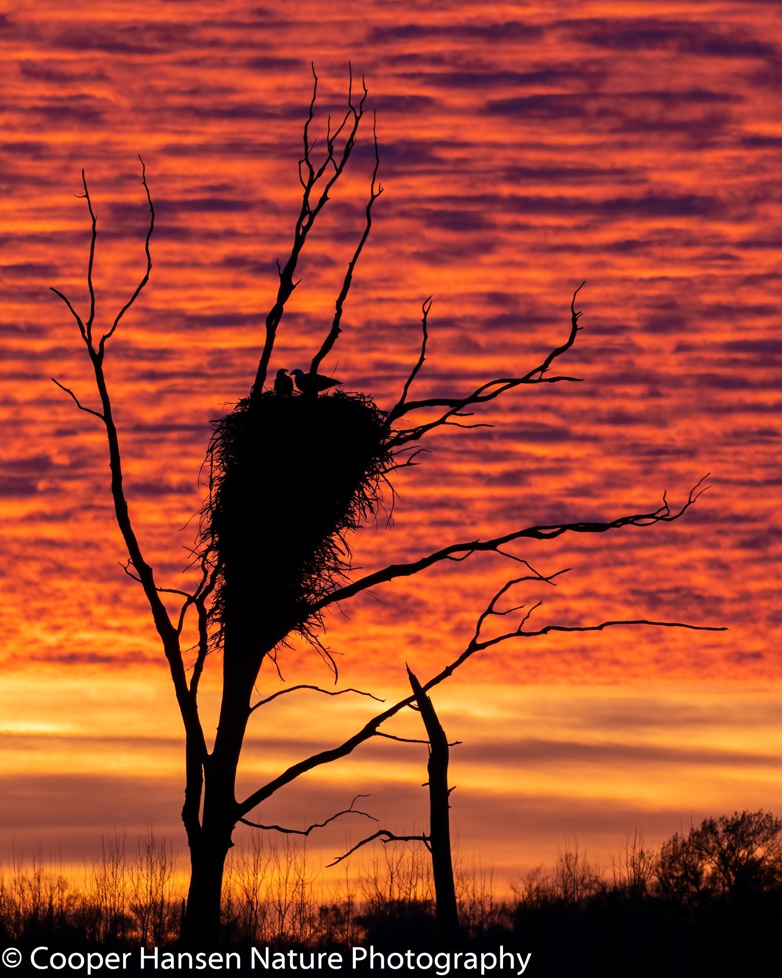 Sunset Silhouette