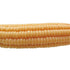 products/4573161242900-ligre-japan-dildo-man-corn-stem.webp