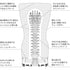 products/tenga-squeeze-tube-structure.jpg