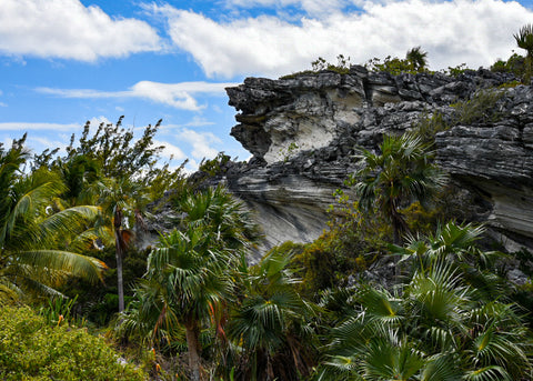 A rocky cliff at Lighthouse Beach Eleuthera