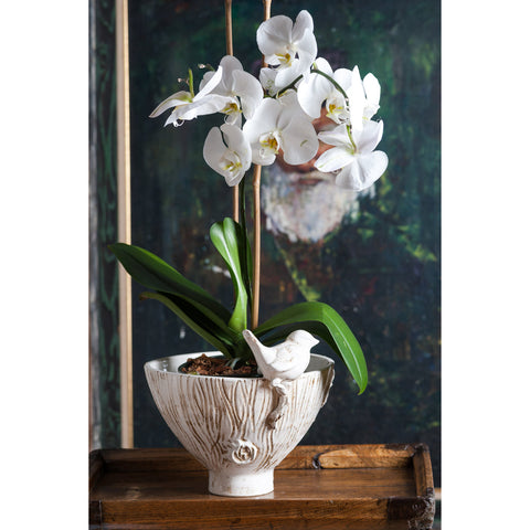 orchid-in-ceramic-planter
