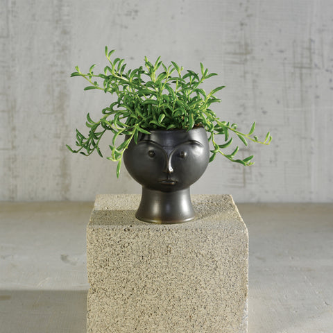 Face Vase