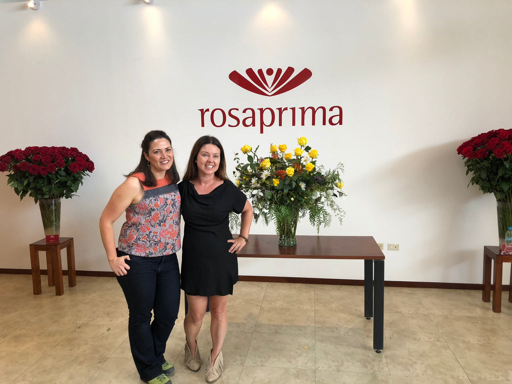 See Red Roses and Christy Hulsey and  Colonial House of Flowers trip to the Rosaprima Flower Farm in Ecuador 
