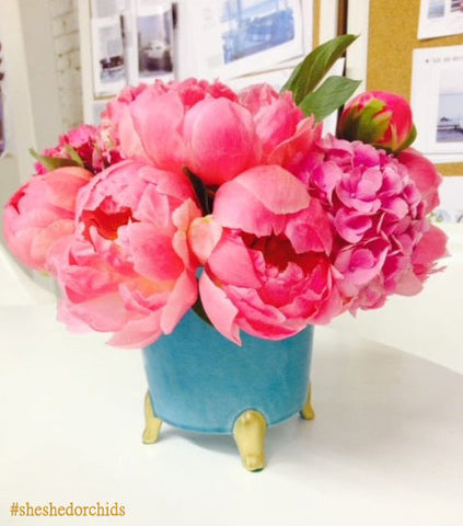 Coral-Charm-Peonies-In-Turquoise-Plant-Vase-Pot