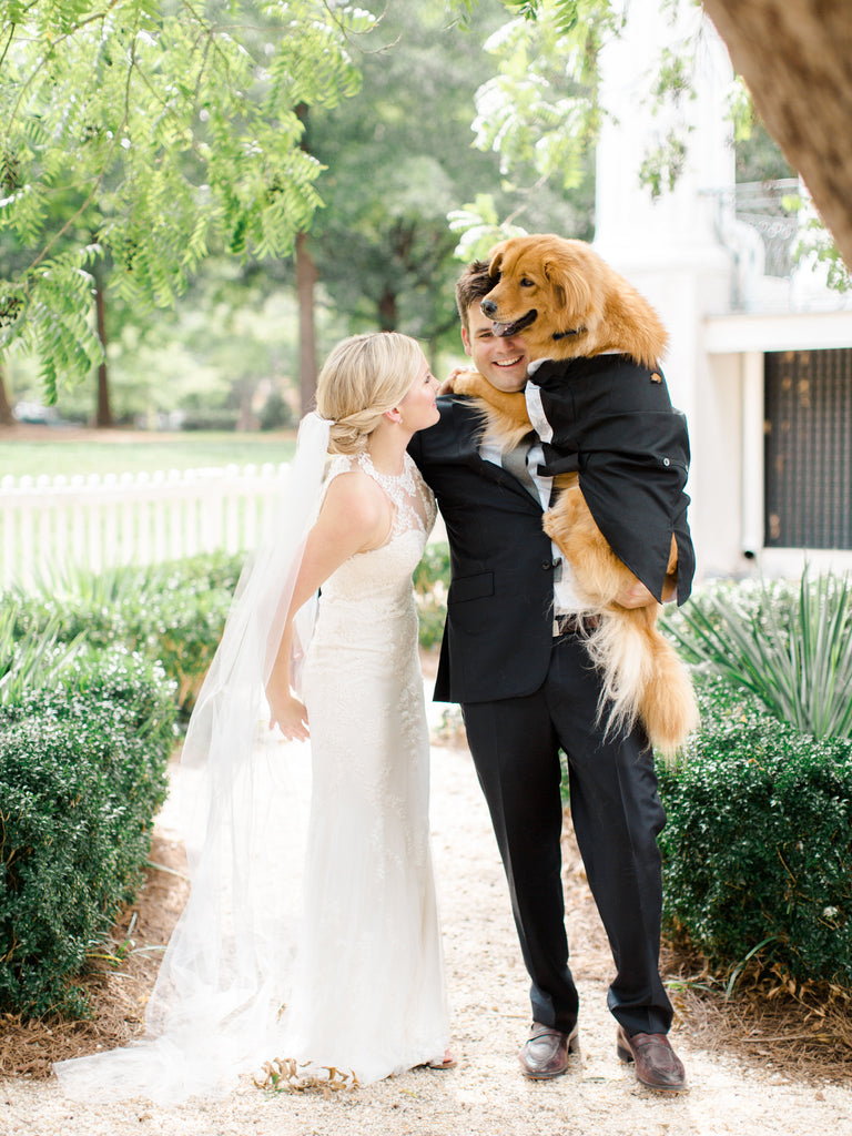 Golden Retriever Dog Pets in Colonial House of Flowers Weddings in Atlanta, Georgia 