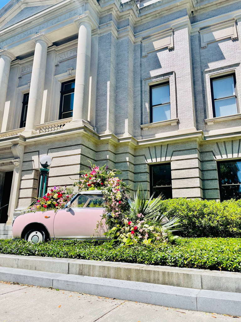 Pink Figgy Outside of The Gibbes Museum in Charleston