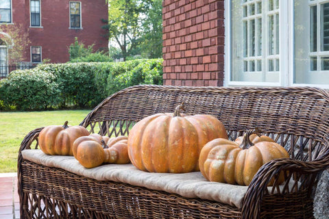 Shop Faux Pumpkins