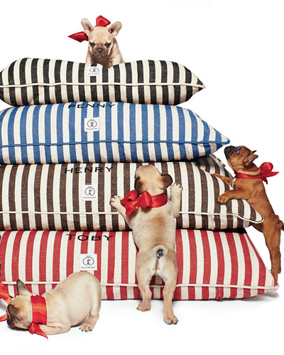 Harry Barker Dog Pet Vintage Strip Bed in Red, Tan, Black and Blue at Colonial House of Flowers Home & Garden Decor in Atlanta, Georgia