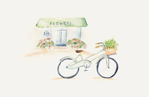 Watercolor Rendering of Classic Colonial House of Flowers Shop With Bicycle