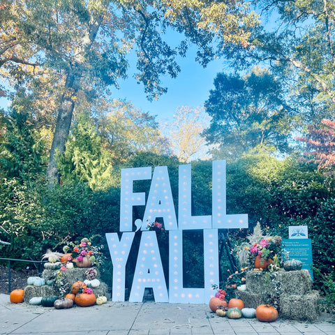 Great-Pumpkin-Carving-Festival-Fall-Party-Atlanta-Botanical-Garden-Colonial-House-of-Flowers