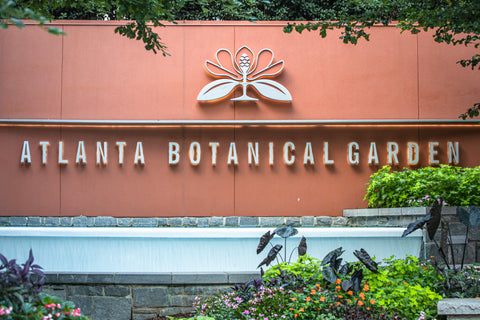 Party At Atlanta Botanical Garden