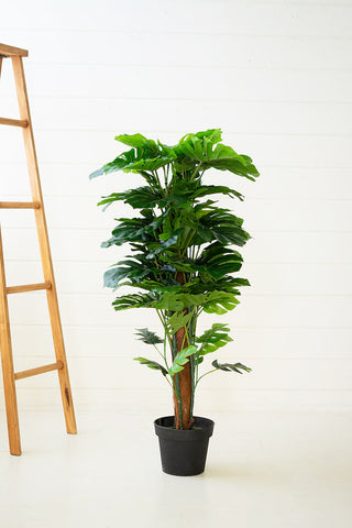 Shop Artificial Faux Green Plants For Your Home or Business