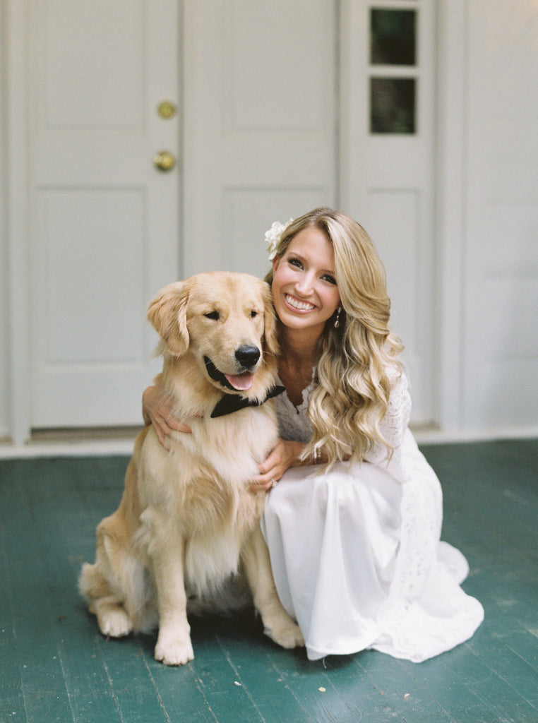 Golden Retriever Dog in Colonial House of flowers Wedding