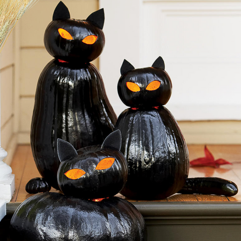Black Cat Halloween Lanterns