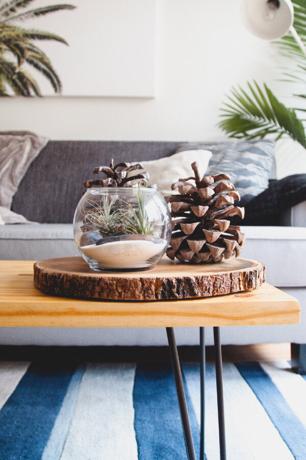 Budget Friendly Decorating With Garden-Inspired Items Like Pine Cones