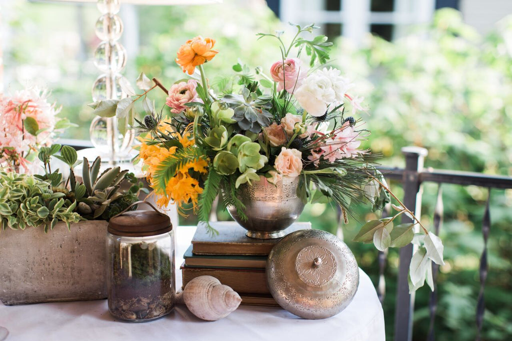 Terrarium Supplies – Corso's Flower & Garden Center