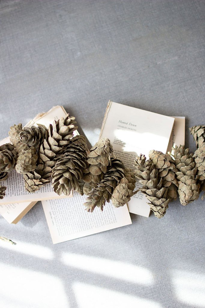 Frosted Pine Cone Garland Decor