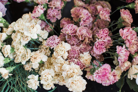 Luxury Purple Carnations 