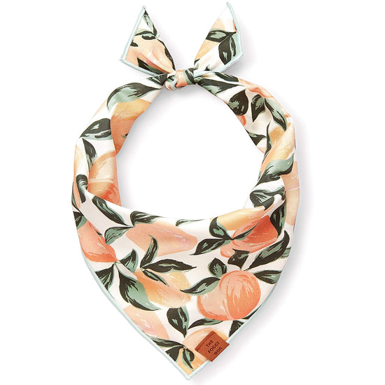 Shop Peaches and Cream Green Dog Bandana by The Foggy Dog at. Colonial House of Flowers