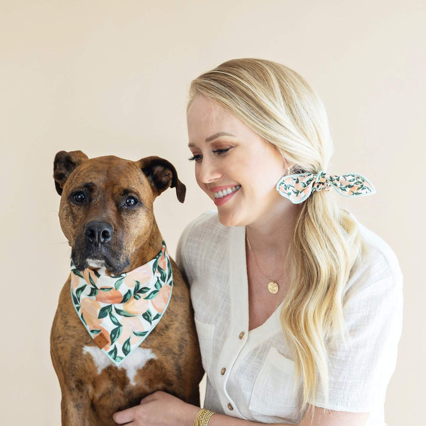 Shop Peaches and Cream Dog Bandana at Colonial House of Flowers in Atlanta