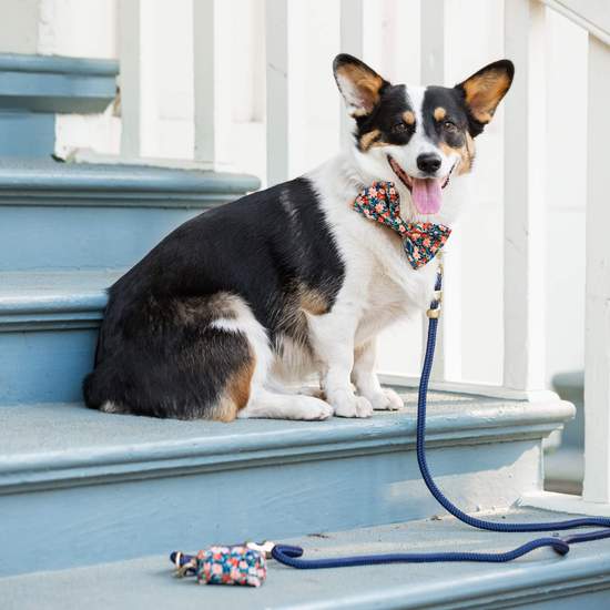 Foggy Dog Foggy Dog Inky Blooms Waste Bag Dispenser