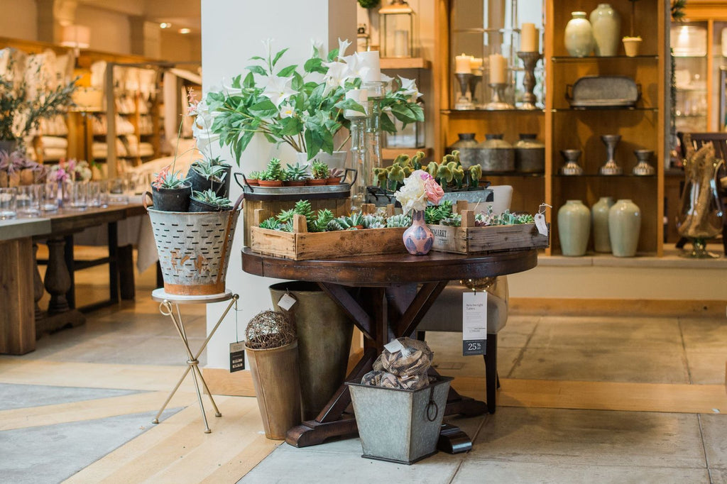Succulent-Plant-Pop-Up-Shop-By-Colonial-House-of-Flowers-Christy-Hulsey-in-Houston-Texas