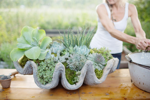 Succulent-Planter