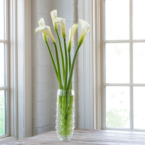 Clear Glass Vase