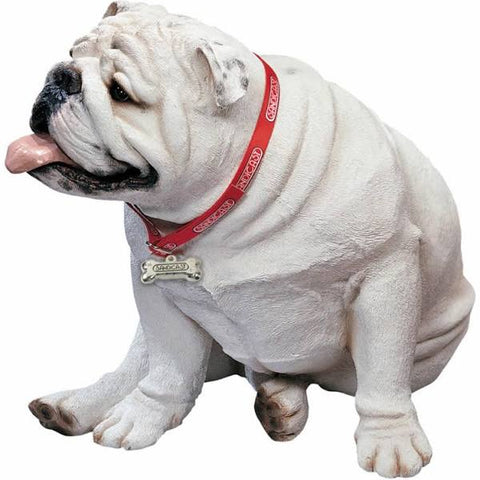 Sandicast Bulldog, White & Fawn, Large Life Size + Original Size