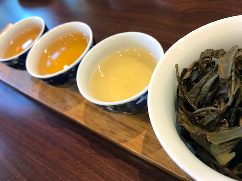 The Best Tea To Prevent Sickness During Seasons Change | October Feature