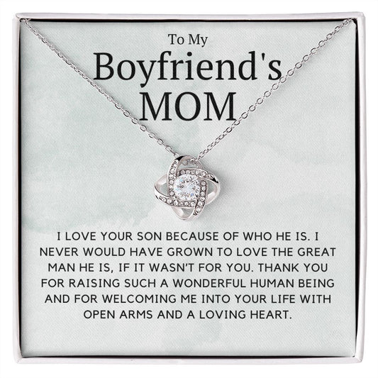 To My Boyfriend's Mom Necklace, Gift for Boyfriend Mother