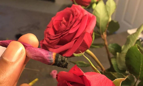 rose blunt