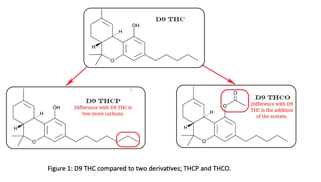 Porovnanie Delta 9 THC s THCp a THCo