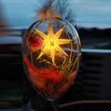 Herrnhut Stars Easter Decoration