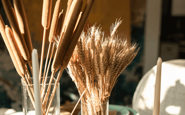 Dried grasses and grains in vases on a table