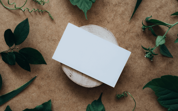 White piece of paper on a piece of wood surrounded by green leaves for table décor