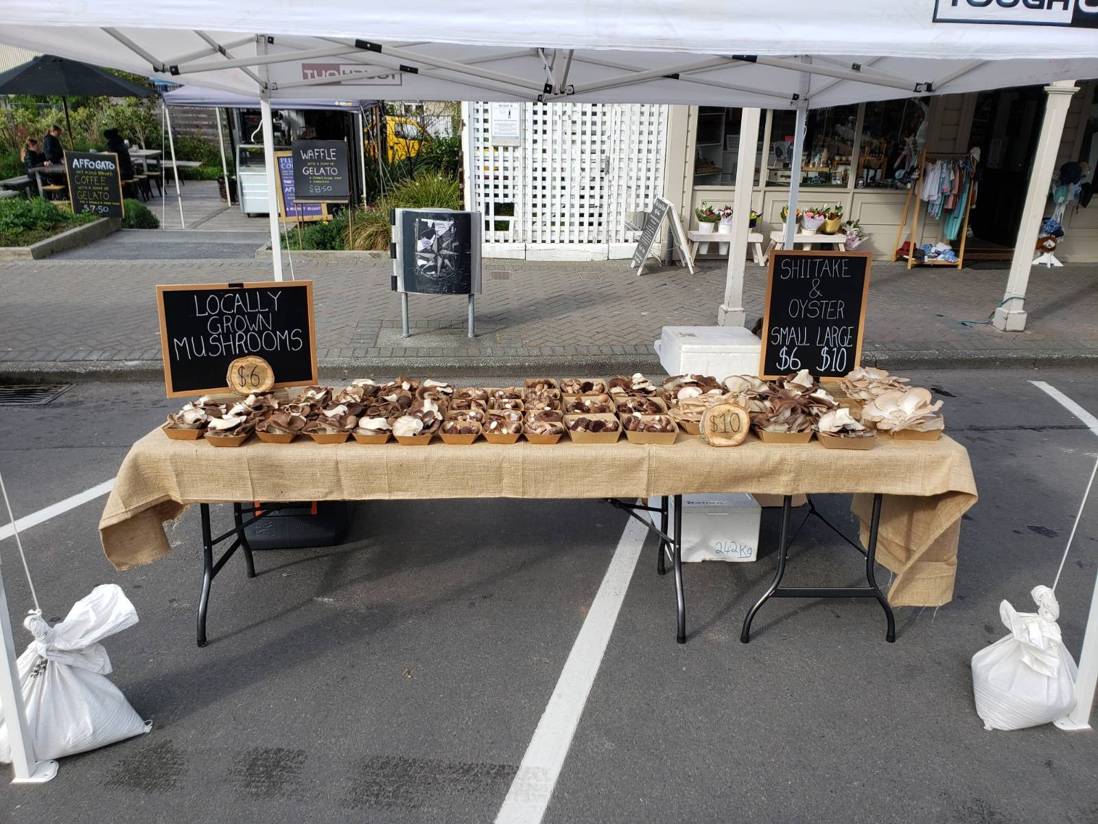 Oak and Spore selling mushroom at their first farmers market