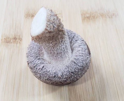 under the cap of a shiitake mushroom