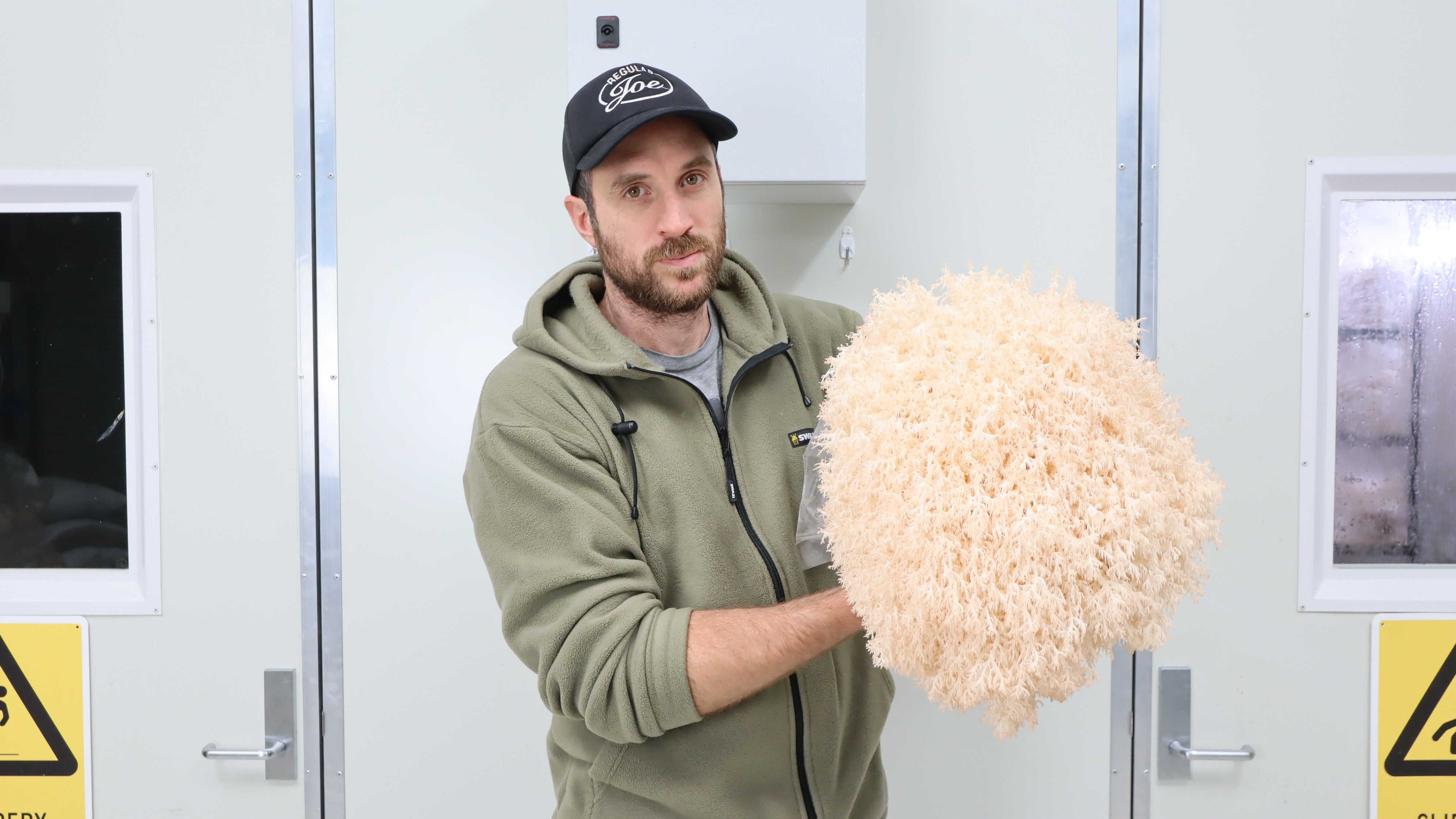 Tom brain holding a large new zealand lions mane mushroom