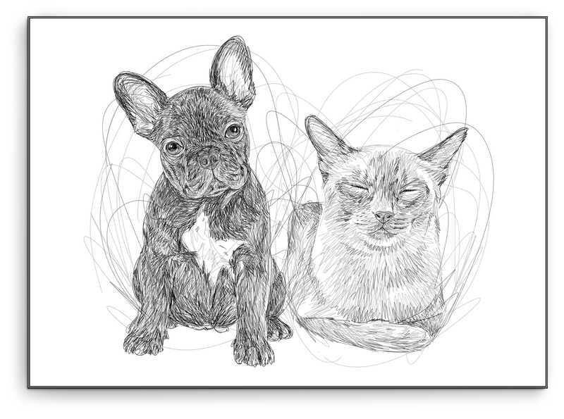 full body sketch pet portrait poster and paw australia