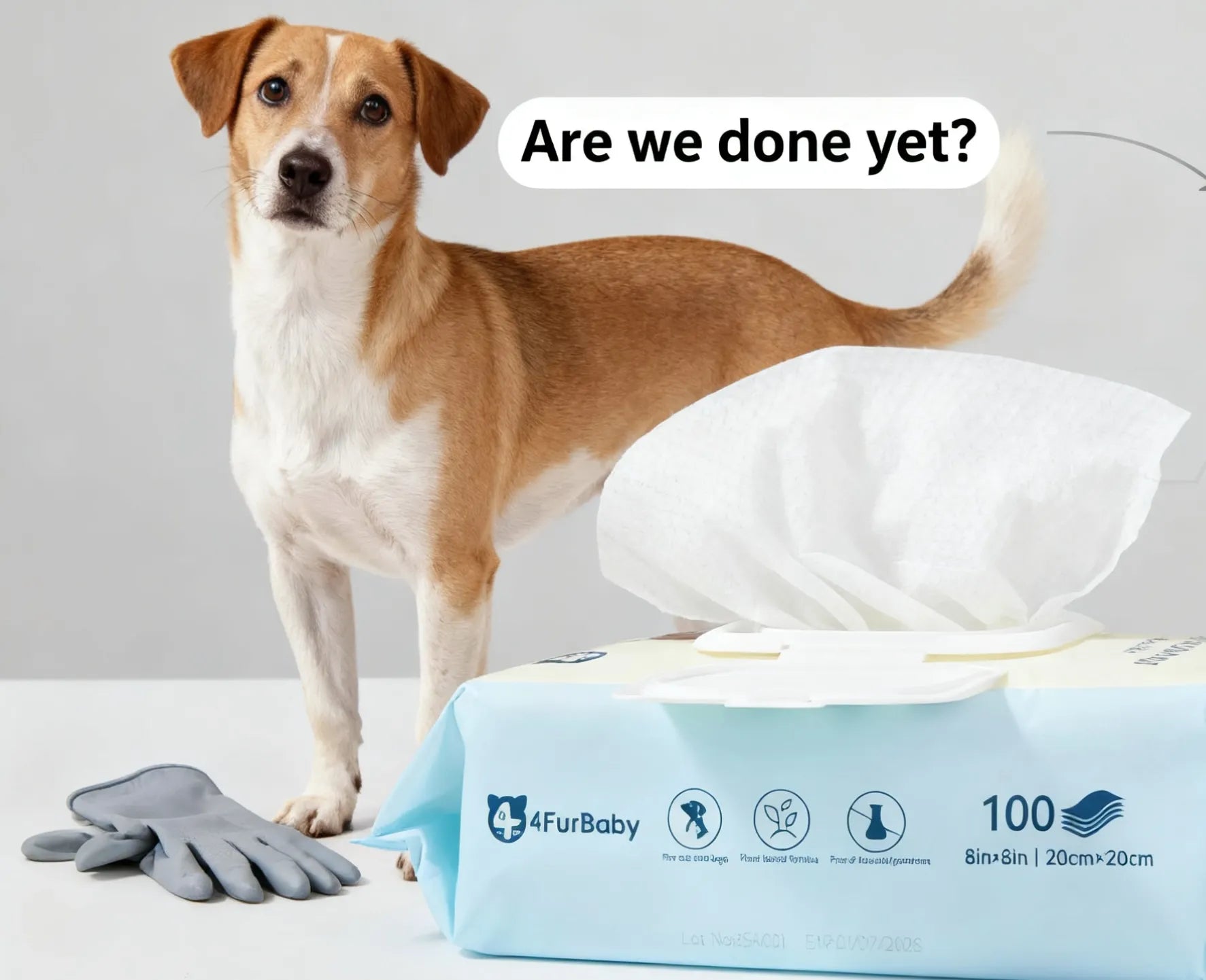 dog skunk smell removal step by step