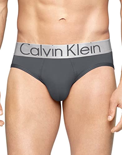 Calvin Klein Men's Steel Micro Hip Briefs, Mink, Large 